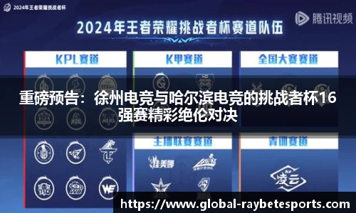 雷竞技官网